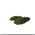 Modern Green Mountain Terrain Model with Detailed Topographic Texture